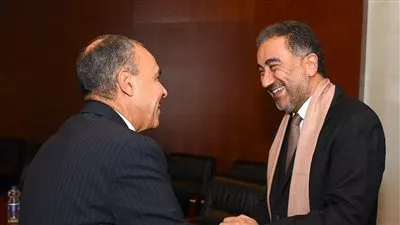 مصر تسعى لحشد تمويلات للاستثمارات والمشروعات الكبرى في أفريقيا