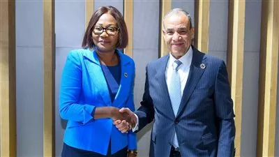 وزير «الخارجية» يبحث مستجدات التعاون المشترك بين مصر وأفريقيا الوسطى