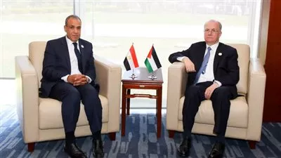 وزير «الخارحية» يؤكد أهمية الإسراع بتشكيل ونشر قوة الاستقرار الدولية في غزة