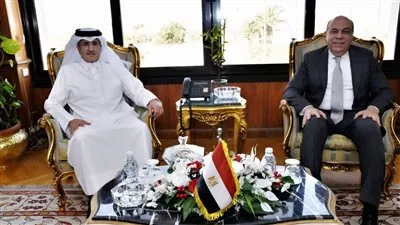 مباحثات مصرية - قطرية لتعزيز التعاون المشترك في مجال الطيران المدني