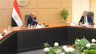 وزير «الكهرباء»: إضافة 300 ميجاوات جديدة من المحطات المائية بنهاية فبراير الجاري