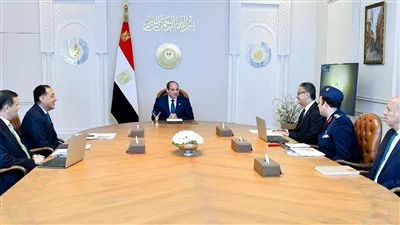 السيسي يوجه بزيادة منافذ «كاري أون Carry On» للمنتجات والسلع التموينية