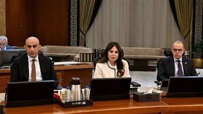 الحكومة تقرر مد العمل بقواعد وشروط تملك أراضي شبه جزيرة سيناء