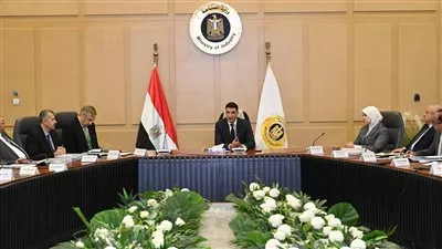 إعادة هيكلة مركز تحديث الصناعة وتشكيل لجنة خبراء لصياغة مبادرات جديدة