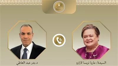 وزير «الخارجية» يبحث إنشاء مجلس أعمال مصري - فلبيني مشترك