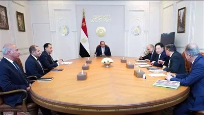 الرئيس السيسي يبحث سيل التعاون مع GCL الصينية بمجال الطاقة المتجددة