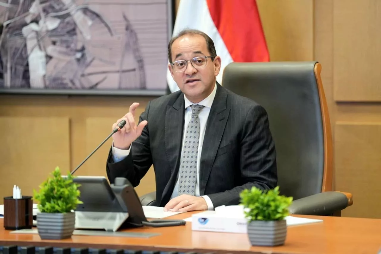 أحمد كجوك وزير المالية