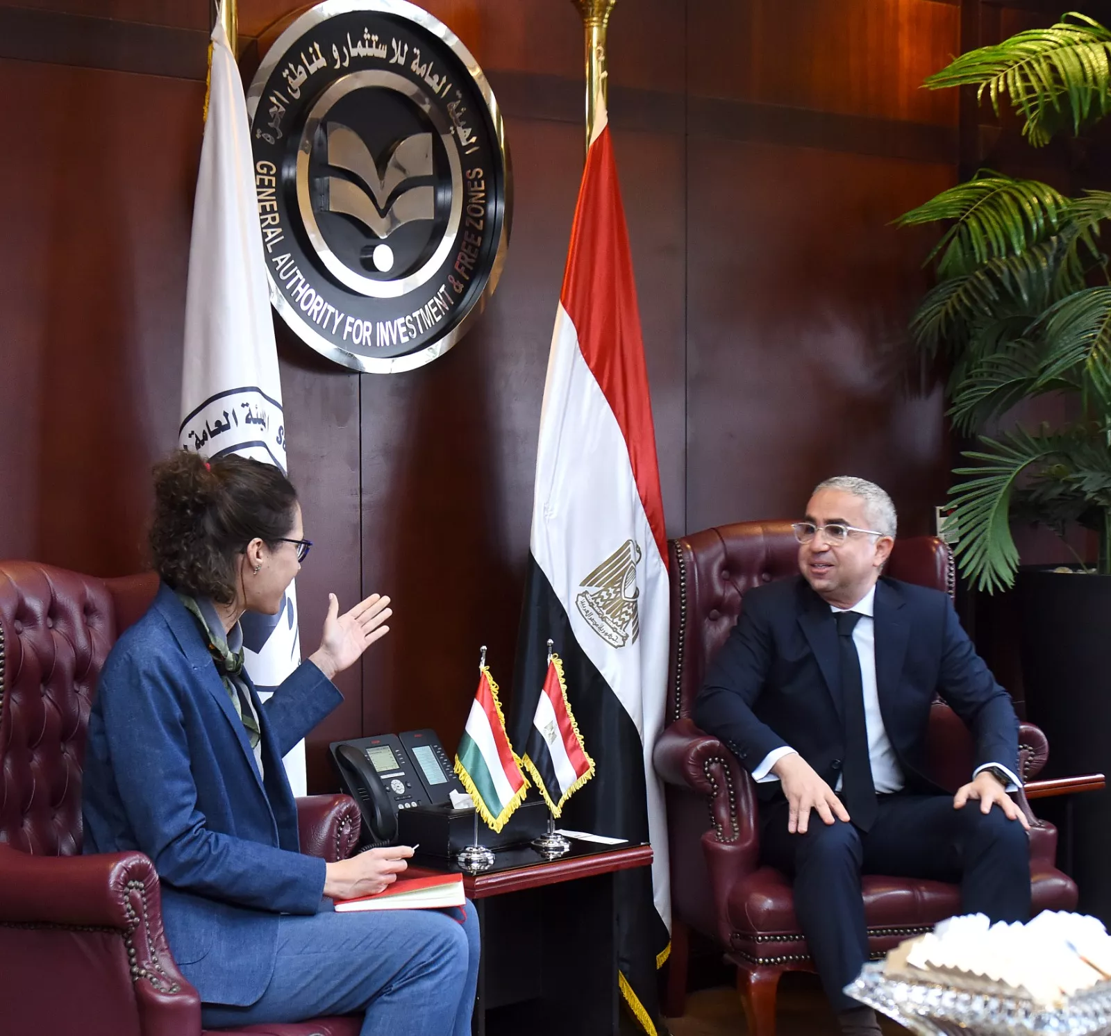 رئيس الهيئة العامة للاستثمار يلتقي سفيرة المجر بالقاهرة