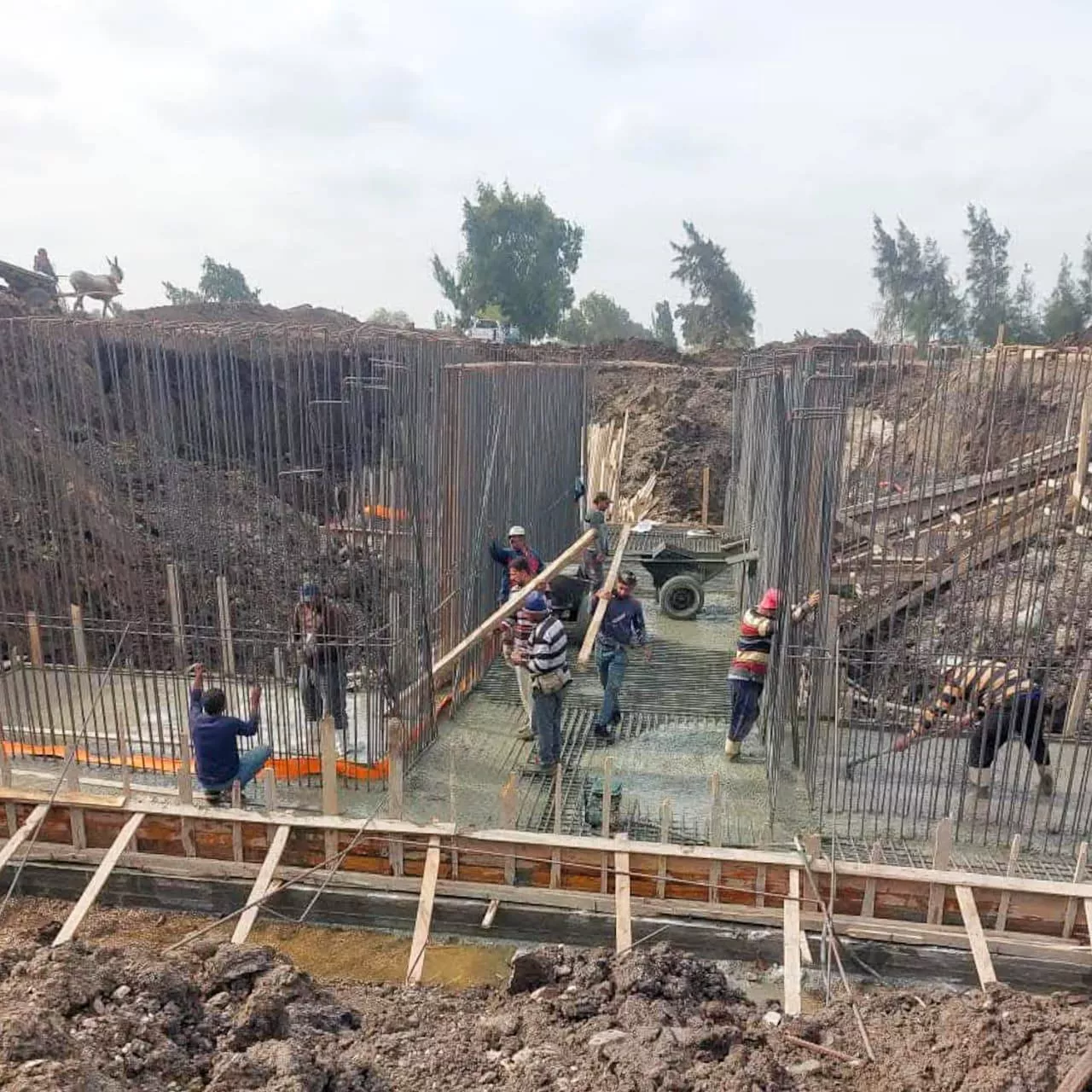 الدكتور سويلم يتابع موقف المشروع القومي لتأهيل المنشآت المائية