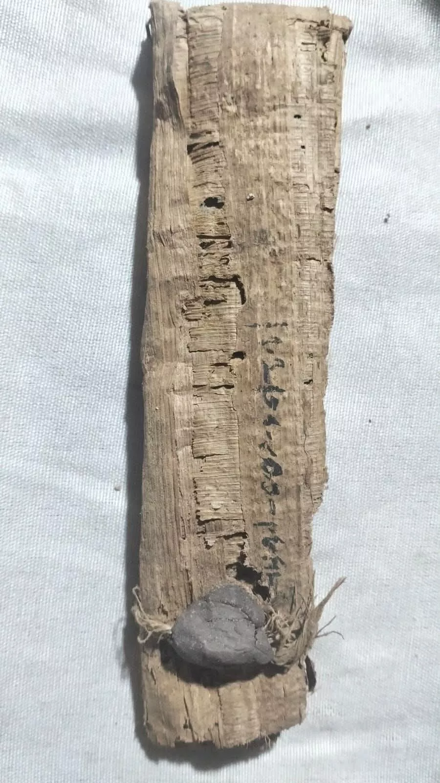 العثور على خبيئة من التوابيت الملونة