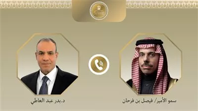 وزير «الخارجية» يستعرض مستجدات التطورات الإقليمية مع نظيره السعودى