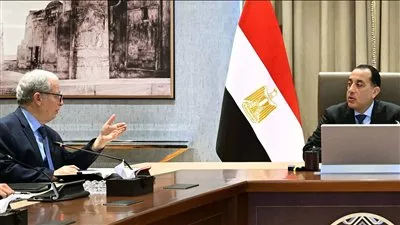 الحكومة تعتزم دمج وإعادة هيكلة 20 هيئة اقتصادية