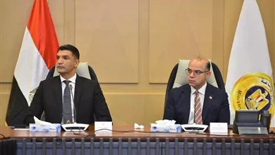 وزارتى «الاستثمار» و«الصناعة» تبحثان استراتيجية تنمية قطاع الصناعات الطبية والدوائية