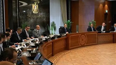 مدبولي يؤكد عدم انقطاع التيار الكهربائي واستمرار إمدادات الغاز للمصانع