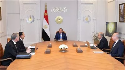 الرئيس السيسي يستعرض خطة توفير احتياجات قطاع الكهرباء من المنتجات البترولية