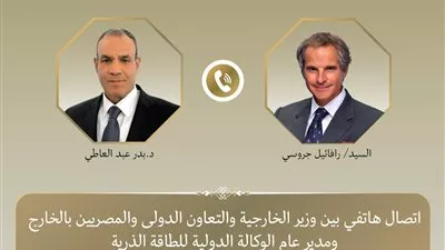 وزير «الخارجية» يؤكد ضرورة خفض التصعيد العسكري في المنطقة