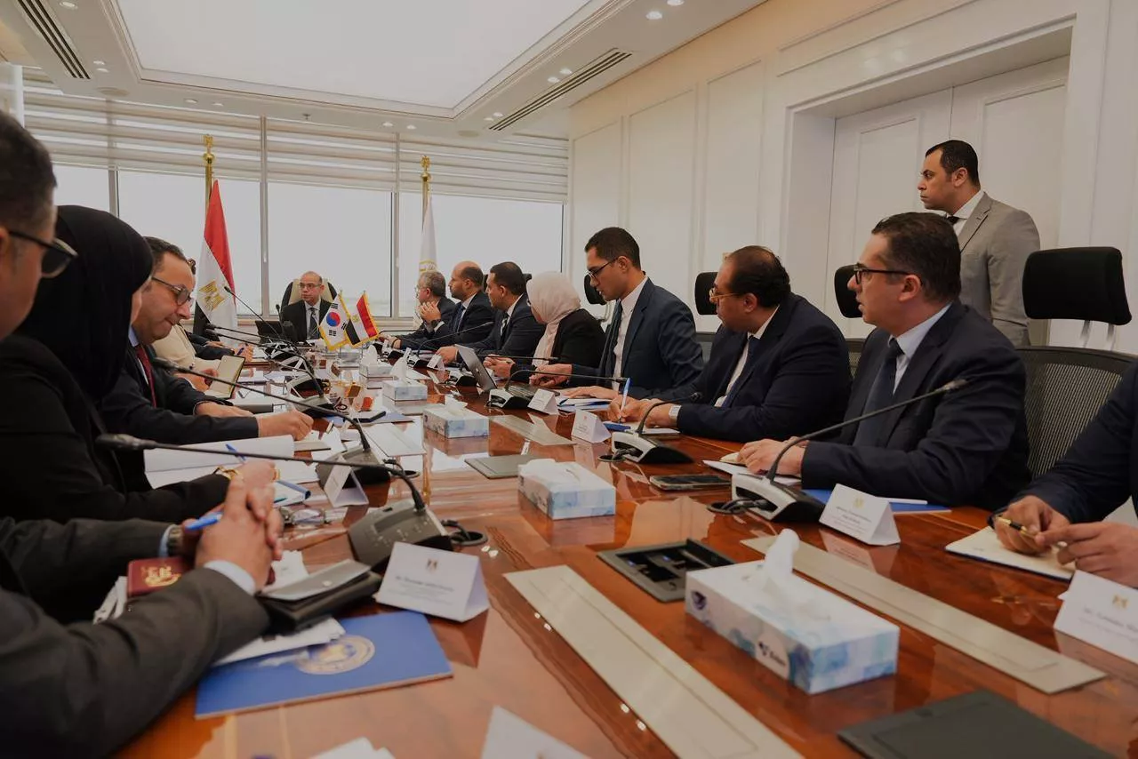 وزير الاستثمار يلتقي القائم بأعمال سفارة كوريا الجنوبية 
