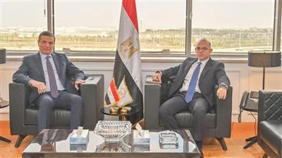 دراسة إنشاء كيان استثماري متخصص لدعم الاستثمارات المصرية في أفريقيا 