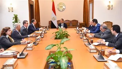 وزير «الخارجية» يوجه بتكثيف متابعة أوضاع المصريين بالخارج وتيسير الخدمات القنصلية
