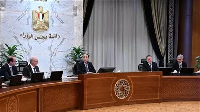 مصر تؤكد توافر الاحتياجات المالية اللازمة لتأمين السلع الأساسية