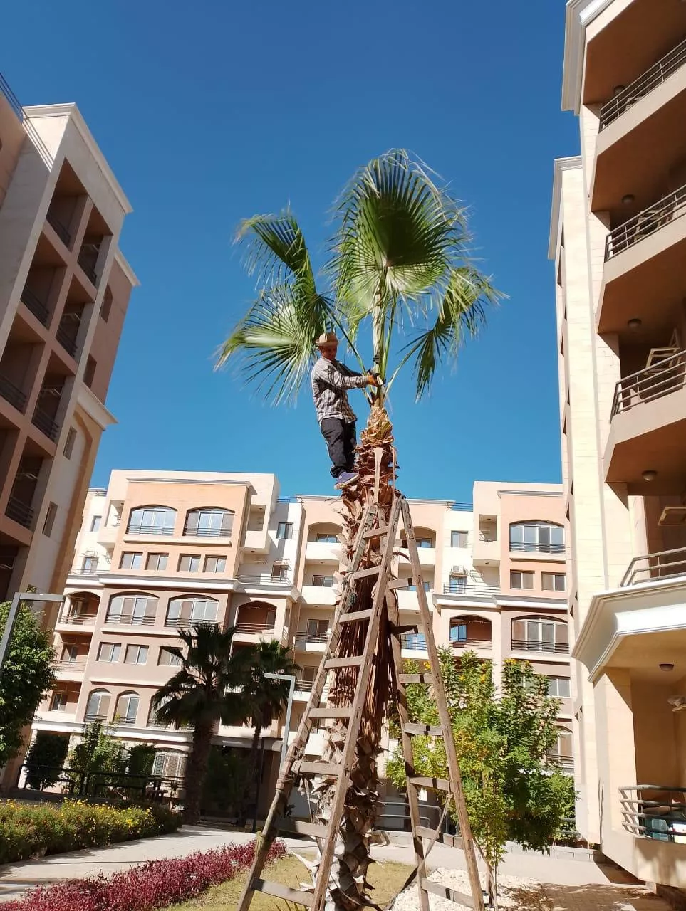 الوحدات السكنية بالحي السكني الثالث R3