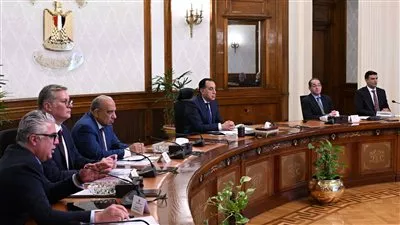 «المنطقة الصناعية بالسخنة» تجذب 547 مشروعًا باستثمارات 33.06 مليار دولار