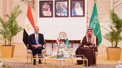 مباحثات مصرية - سعودية لتنسيق الجهود العربية حول التطورات الإقليمية
