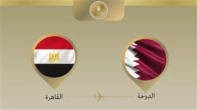 وزير «الخارجية» يتوجه للدوحة فى جولة خليجية لبحث التطورات الإقليمية