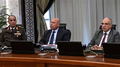 تخصيص أراضي لتطوير وتوسعة ميناء العريش البحري وربطه بخط السكة الحديد