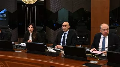 مجلس الوزراء يوافق على تخصيص 633 فدان لتوسعة مطار سانت كاترين