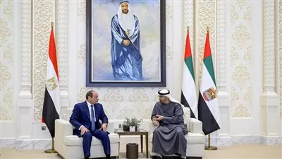 الرئيس السيسي يبحث مع نظيره الإماراتي علاقات التعاون والتطورات الإقليمية