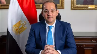 وزير المالية: تنسيق حكومى لتوفير السلع الغذائية وتأمين مصادر الطاقة للمواطنين