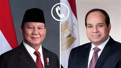 الرئيس السيسي يبحث مع نظيره الإندونيسي الأوضاع الإقليمية بمنطقة الشرق الأوسط