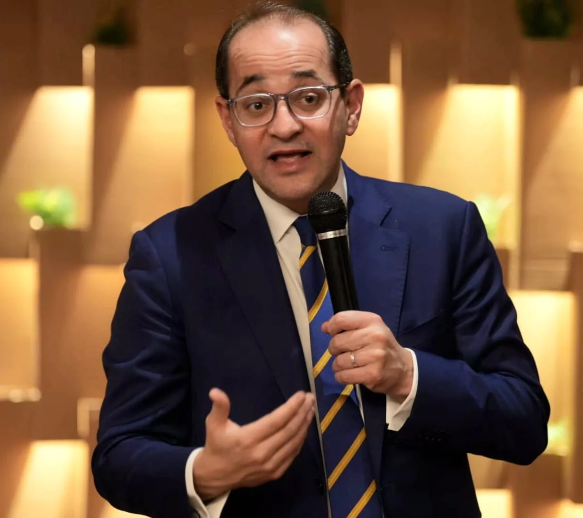 أحمد كجوك وزير المالية