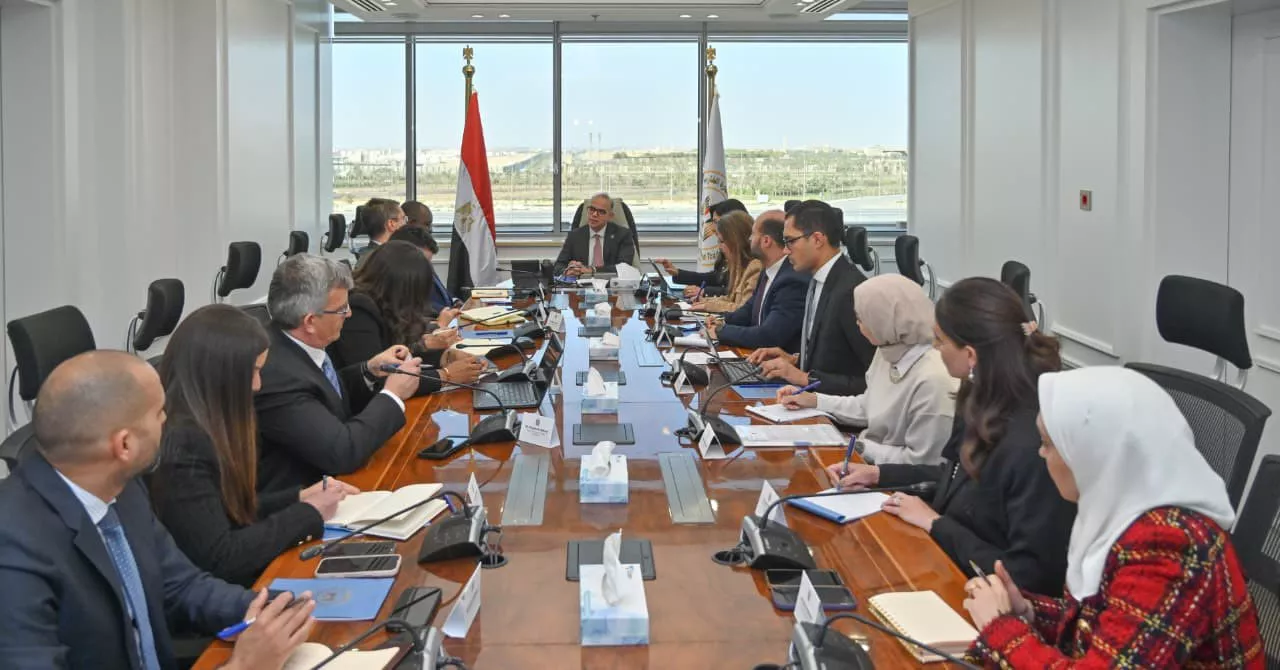 وزير الاستثمار مع ممثلي مؤسسة التمويل الدولية IFC