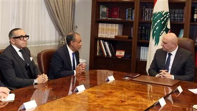 وزير «الخارجية» يؤكد إدانة ورفض مصر للعدوان العسكري الإسرائيلي على لبنان