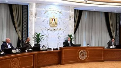 الحكومة توافق على صرف المساندة التصديرية لـ 6 شركات أسمنت نقدًا