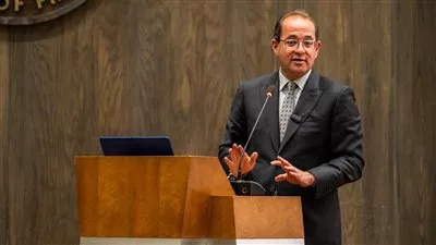 وزير المالية: إطلاق «موبايل أبلكيشن» لتقديم خدمات الضرائب العقارية منتصف أبريل المقبل