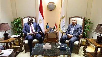 مصر وتنزانيا تتفقان على تسيير خط ملاحي وإنشاء مناطق لوجستية متبادلة