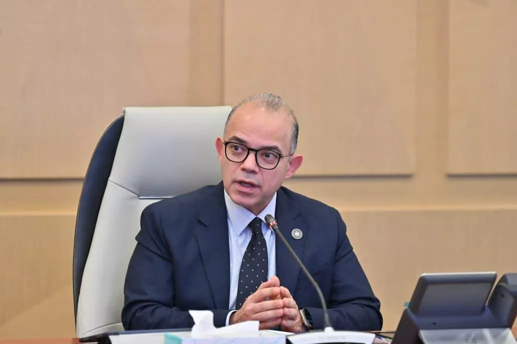 الدكتور محمد فريد وزير الاستثمار