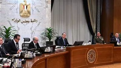 وزارة «السياحة» تعتزم إنشاء مركز للألعاب الرياضية الجوية بمنطقة الأهرامات