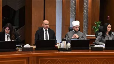 مجلس الوزراء يوافق على تعديل المنطقة الاستثمارية لشركة «ماجد الفطيم» بالمعادي