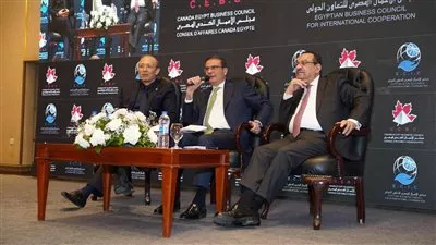  وزير «الزراعة»: استهداف رفع نسبة الاكتفاء الذاتى من القمح إلى 50%