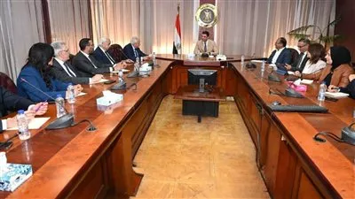 مصر تدعو الشركات الأمريكية للاستثمار في مراكز البيانات ومحطات الطاقة المتجددة