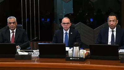 مجلس الوزراء يوافق على إنشاء 4 مشروعات جديدة بنظام المناطق الحرة الخاصة