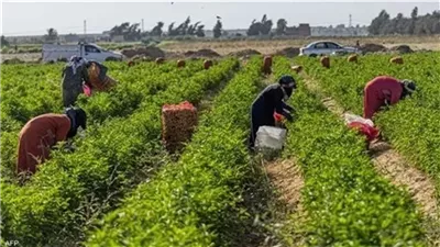تعديل النظام الداخلي لـ 5 جمعيات تعاونية زراعية في 3 محافظات