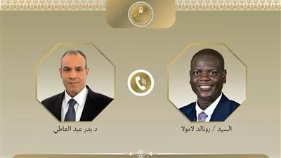 وزير «الخارجية» يبحث مع نظيره الجنوب أفريقي العلاقات الثنائية والتطورات الإقليمية