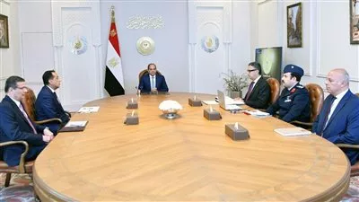 الرئيس السيسي يؤكد ضرورة استخدام الدولة لآليات ضبط السوق والأسعار
