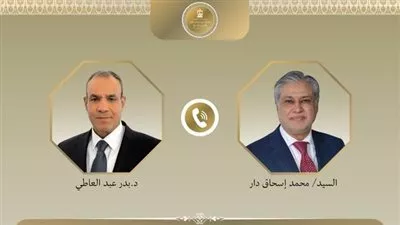 وزيرا خارجية مصر وباكستان يبحثان آخر مستجدات الوضع الاقليمي