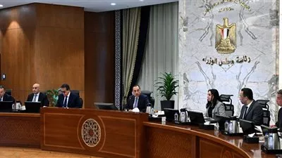 الحكومة تطلق شريحة الطفل بباقات إنترنت آمنة قبل نهاية يونيو المقبل